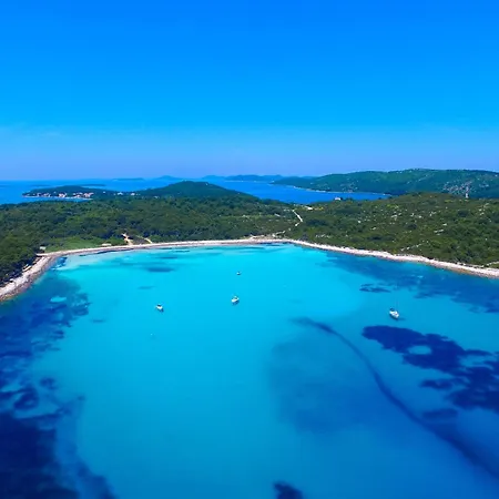 Apartment Apartments By The Sea Verunic, Dugi Otok - 8103