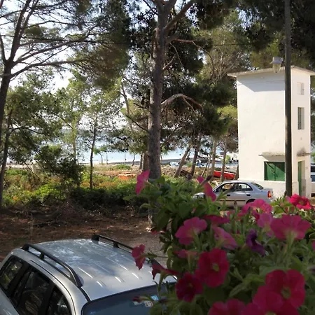 Apartment Apartments By The Sea Verunic, Dugi Otok - 8103 *