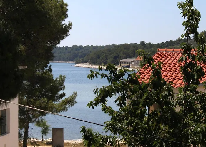 Apartment Apartments By The Sea Verunic, Dugi Otok - 8103